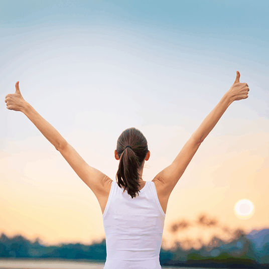 Virbiusindustriesllc